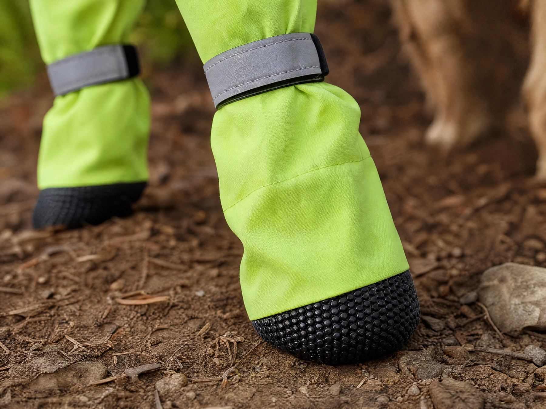 Let muddy paths stay outside