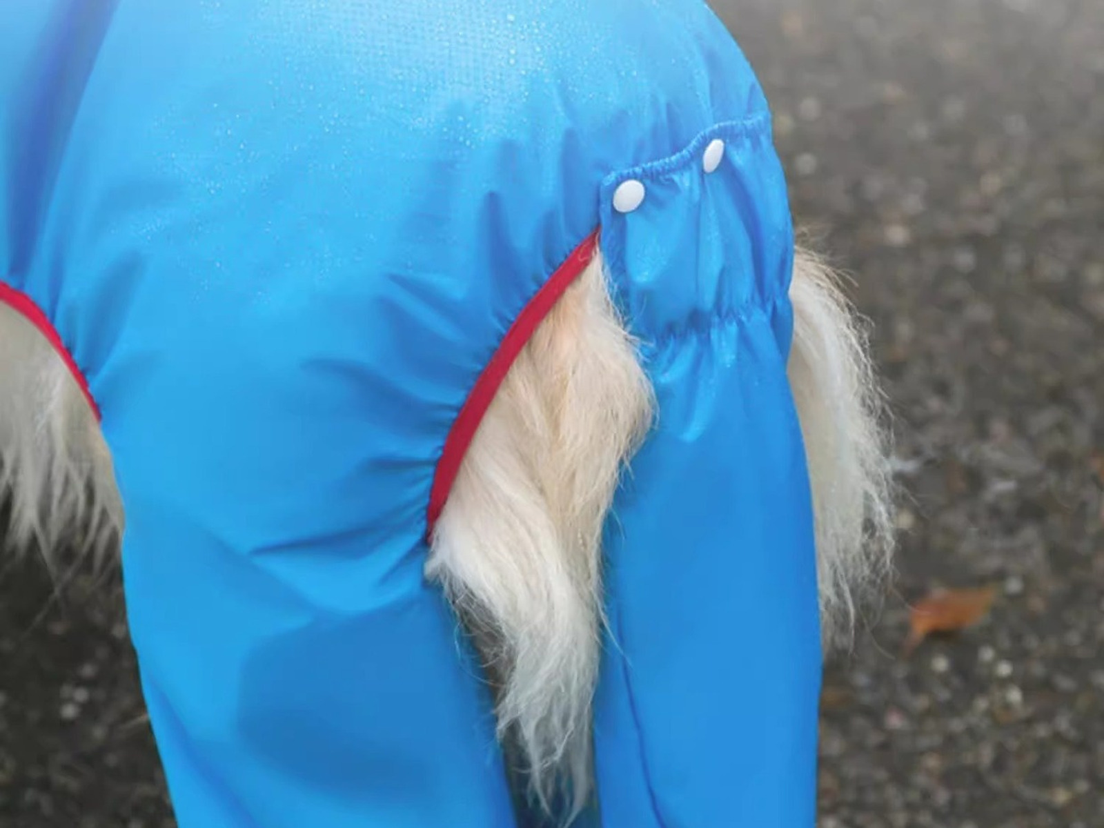 The tail is covered too