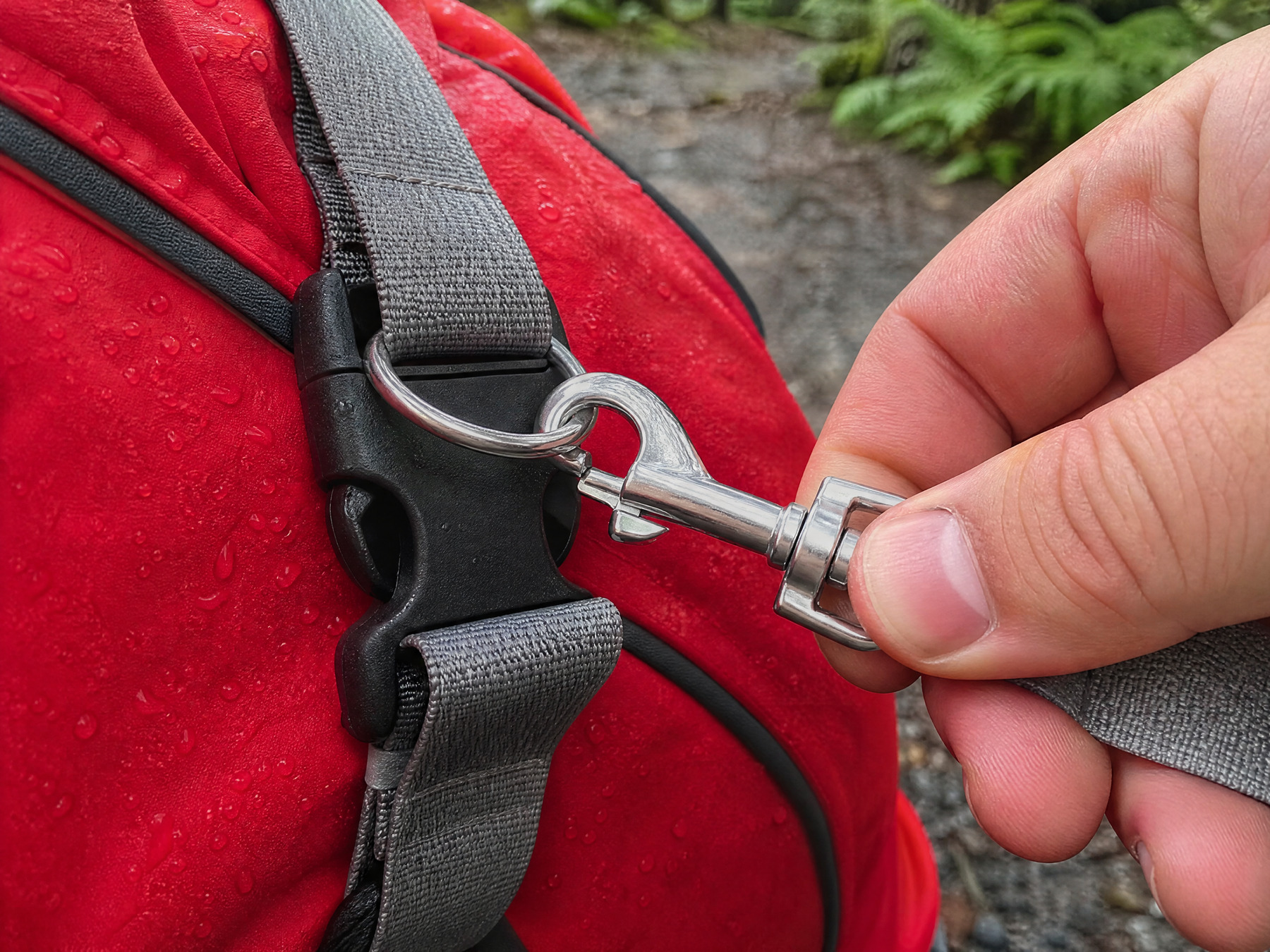 Clip the leash straight to the coat