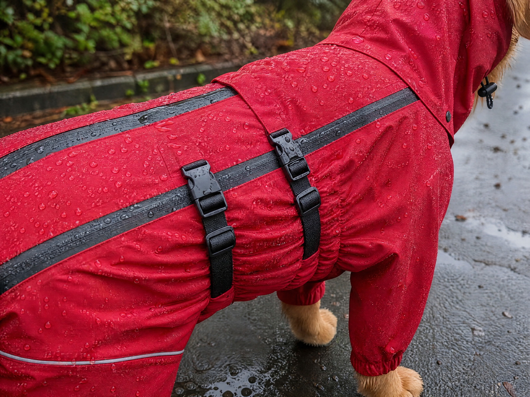 The rain sits on top of it
