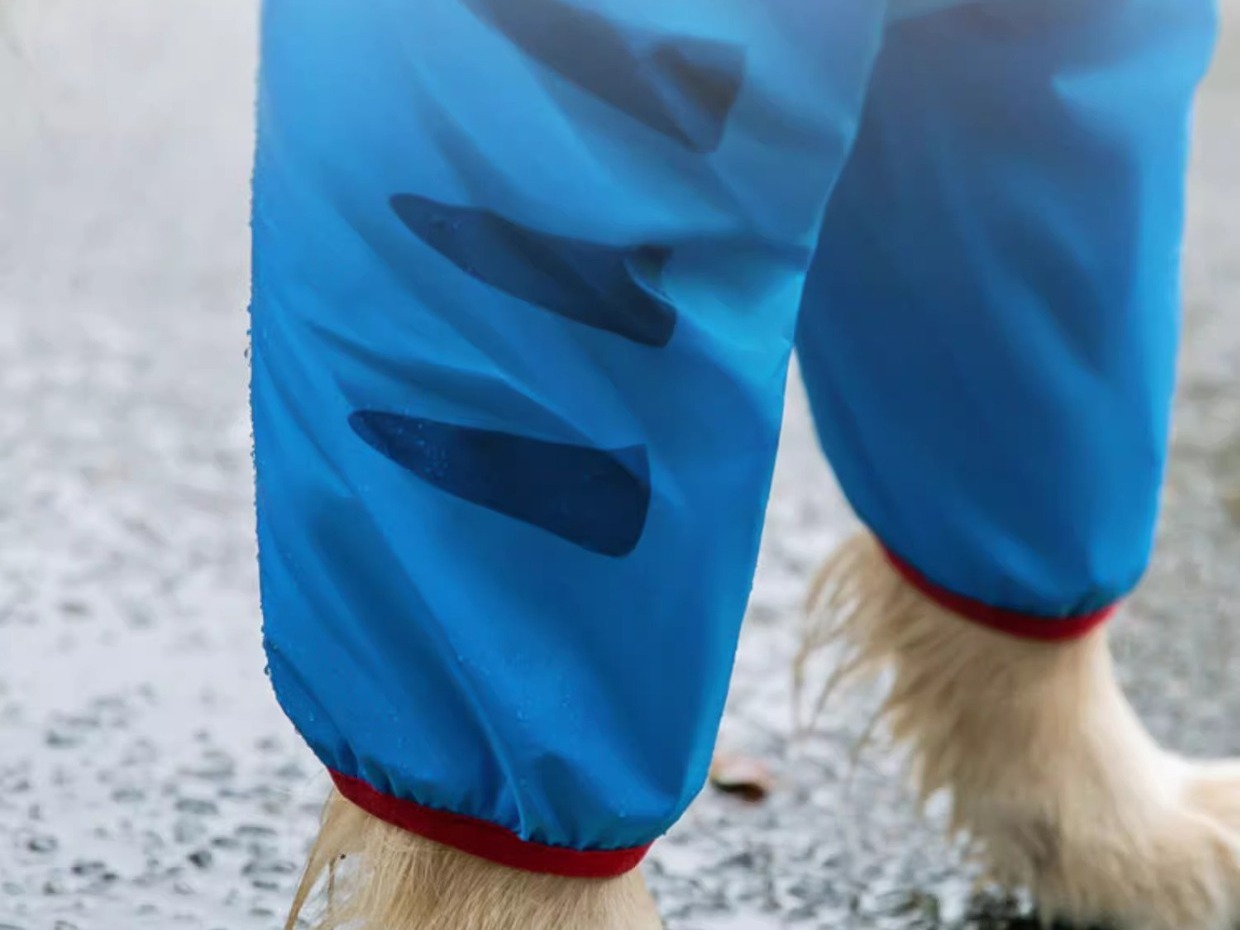 The legs finish past the ankle