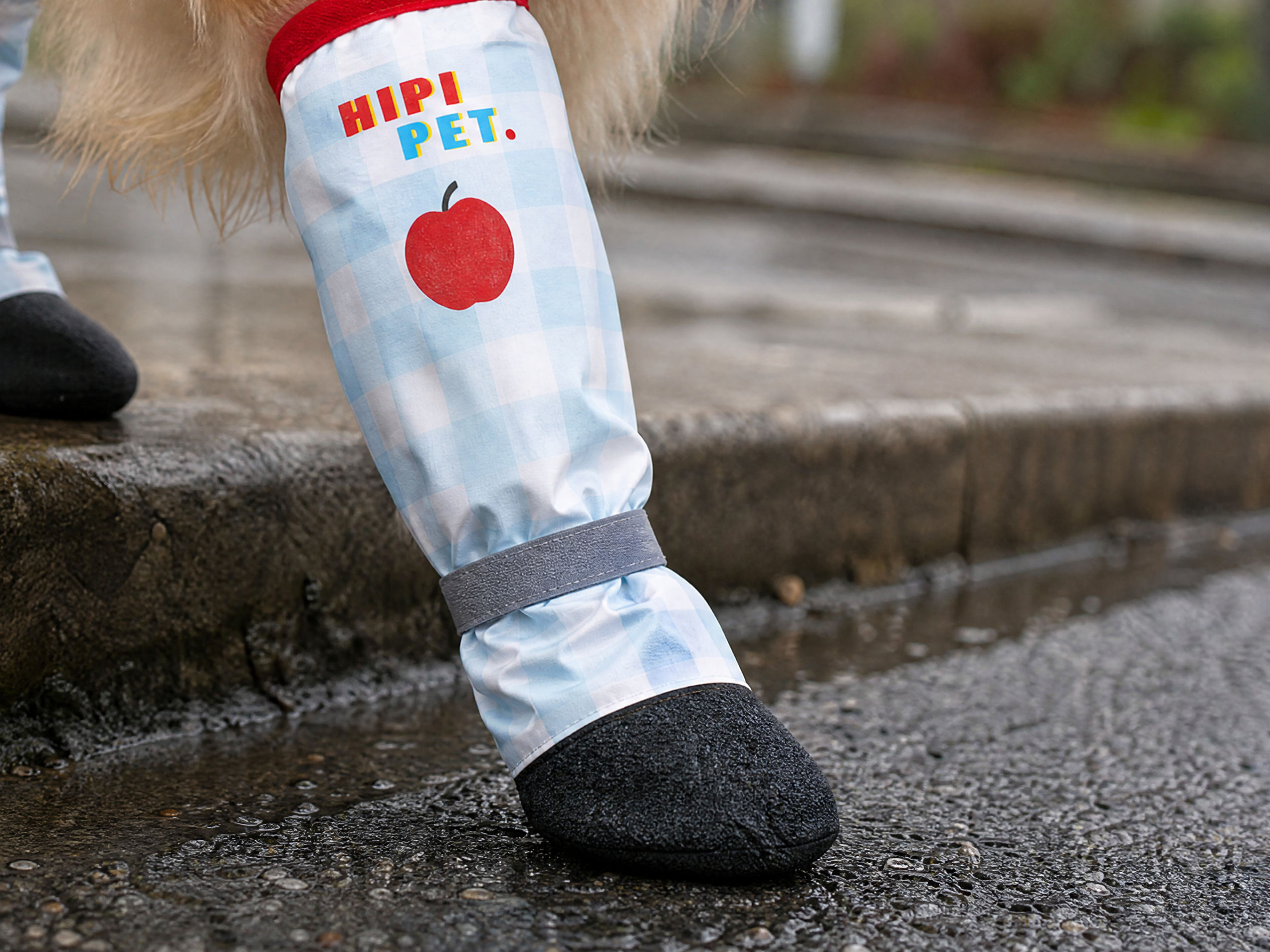Something between the paw and the grit