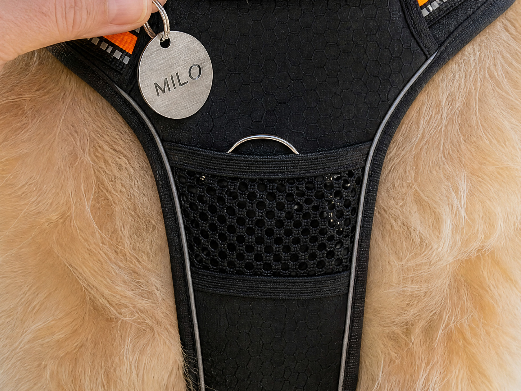 A wire ring and a mesh pocket