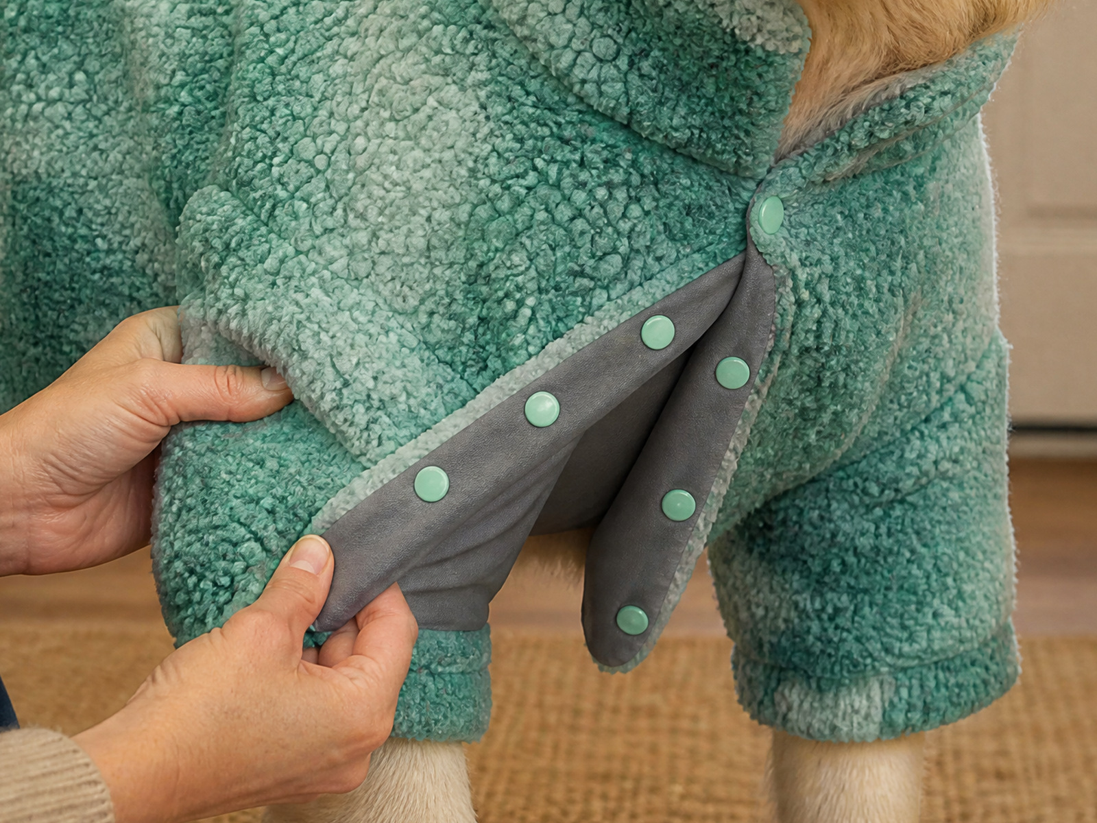 Only the front legs go in