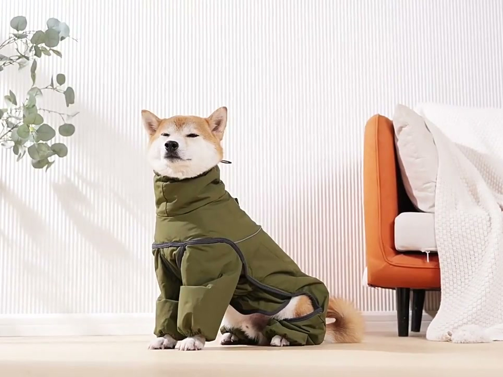 The collar stands up on its own