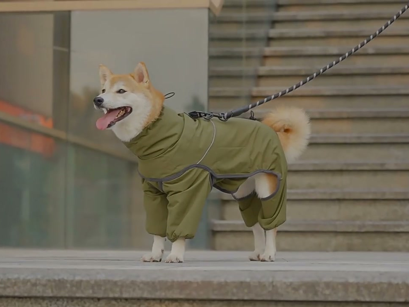 The leash still has somewhere to go