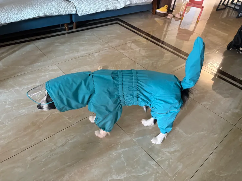 Photo from Delphine’s review