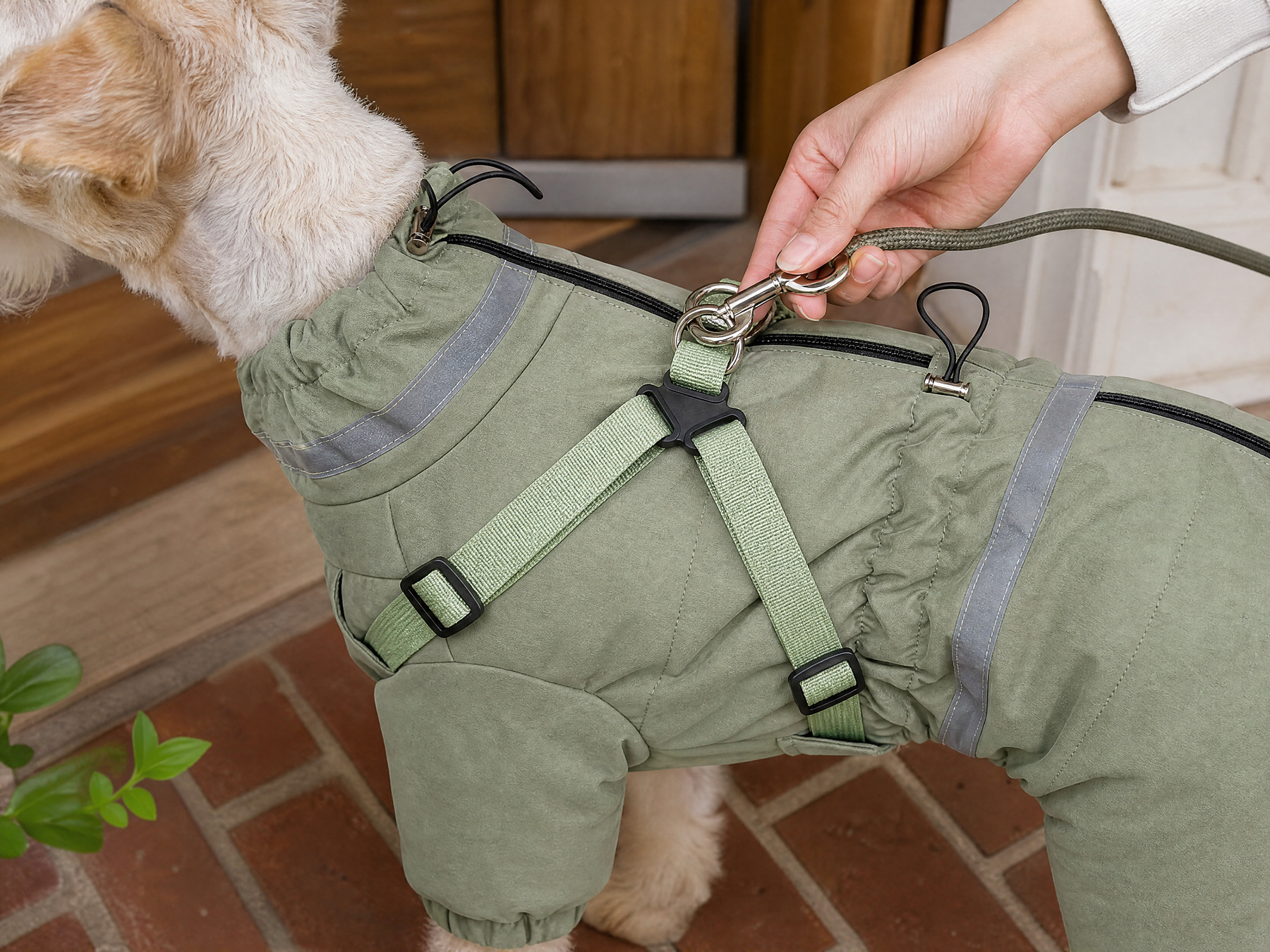 A hand clips a leash to the paired back rings of the sage suit on a brick porch.